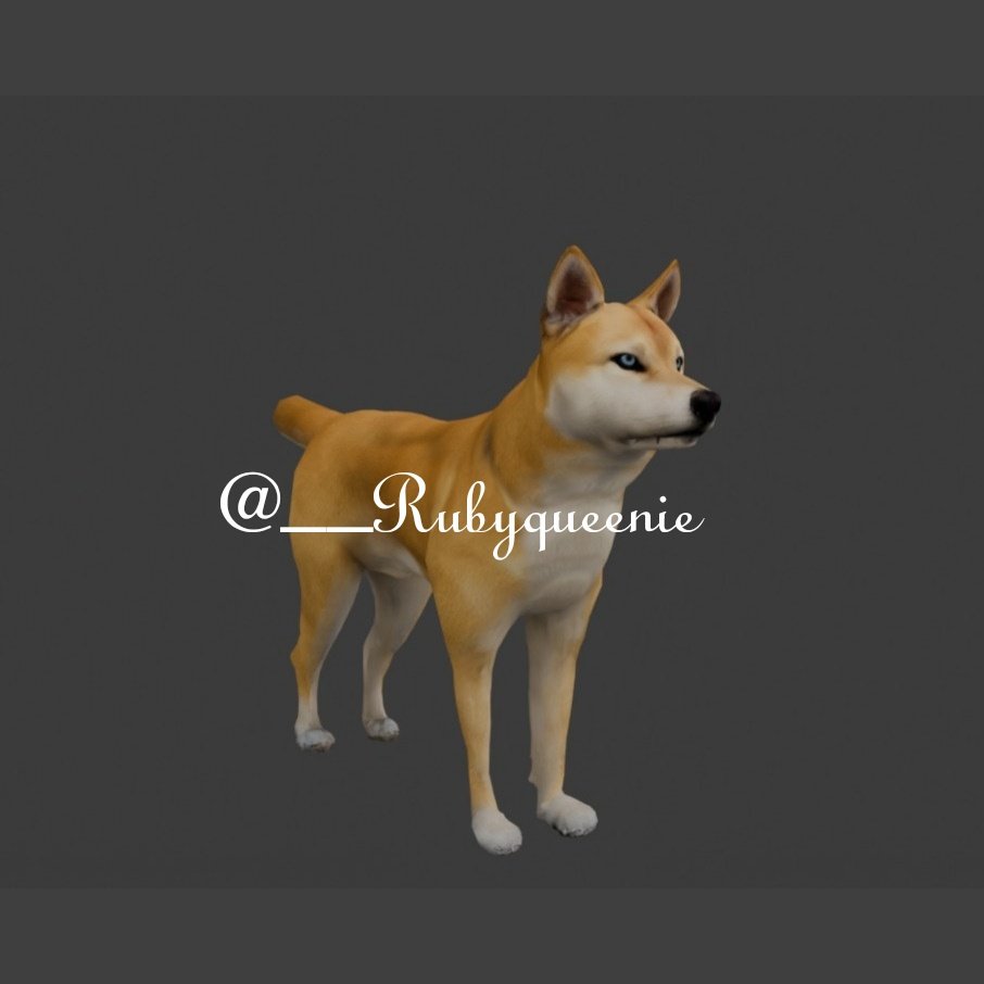 ๐ Rubyyyyy Queenie ๐พ๐ (@__rubyqueenie) on Twitter photo Hihi!! X peeps ๐บ๐
Here's the texture of Dog's 3D Vtuber Model for my precious client <a href="/DogsSpaghetti/">Incognito Jลฏลลฅฤฏรฑ Apostle ๐ญ๐ซ</a> ๐ถ๐พ
My Commissions are still open If anyone brings their Sona in life as an Vtuber/Vrchat so follow or DM me ๐
#3DModel #Vtuber #streamers
#commissionsopen Hihi!! X peeps ๐บ๐
Here's the texture of Dog's 3D Vtuber Model for my precious client <a href="/DogsSpaghetti/">Incognito Jลฏลลฅฤฏรฑ Apostle ๐ญ๐ซ</a> ๐ถ๐พ
My Commissions are still open If anyone brings their Sona in life as an Vtuber/Vrchat so follow or DM me ๐
#3DModel #Vtuber #streamers
#commissionsopen