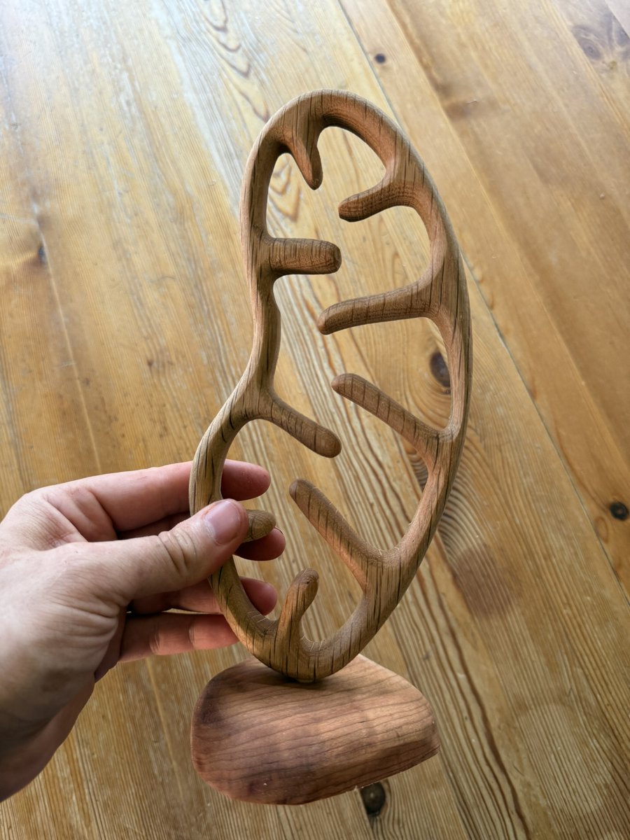 I added a new section on my website listing the pieces I have available in the shop. They can be found here: neurowoodworks.com/available-artw…. This #mitochondrion is one of them! #science