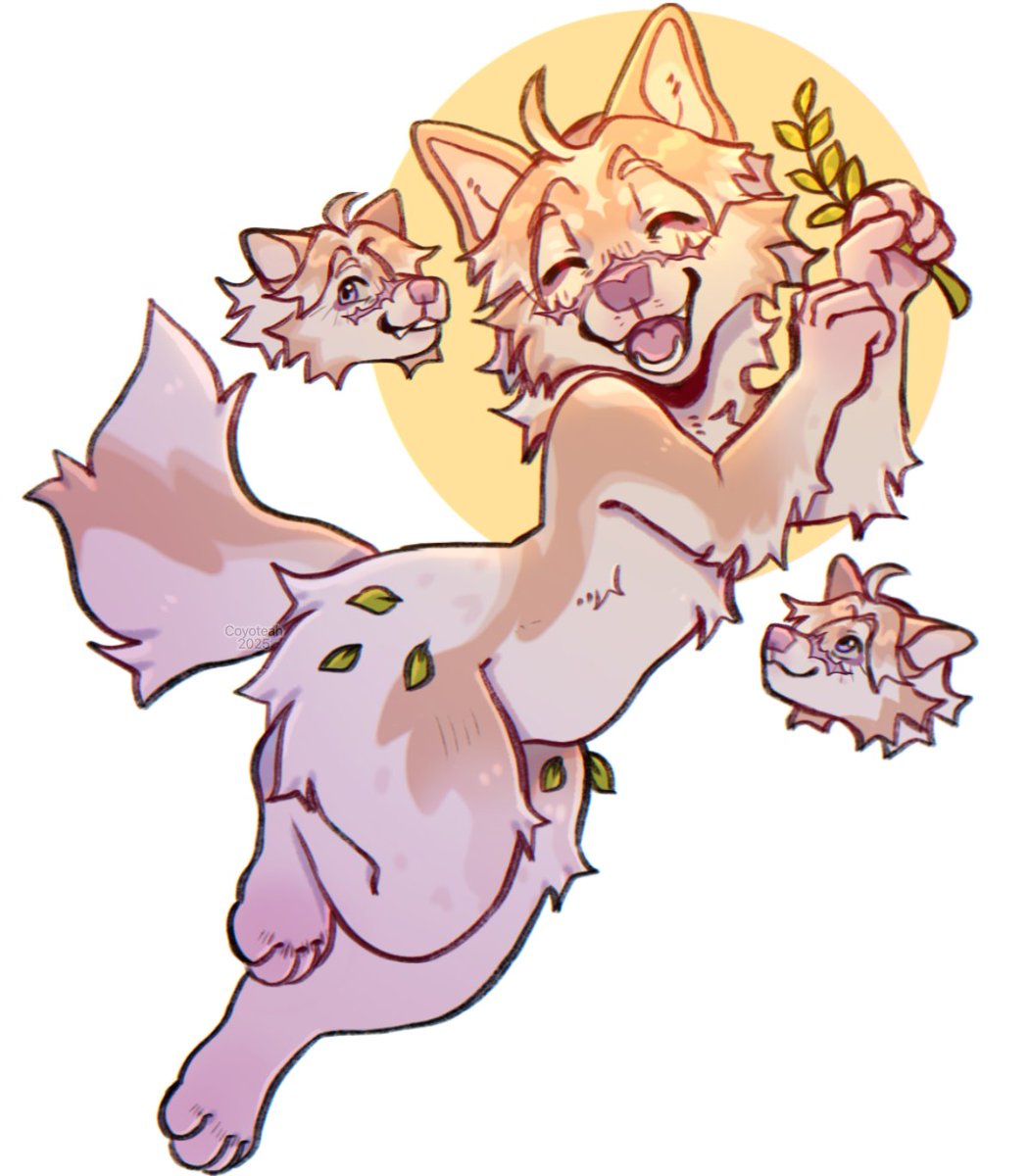 S o r a 🇻🇪 COMS CLOSED! tweet media