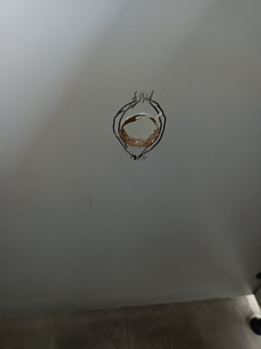 张灵华 tweet media