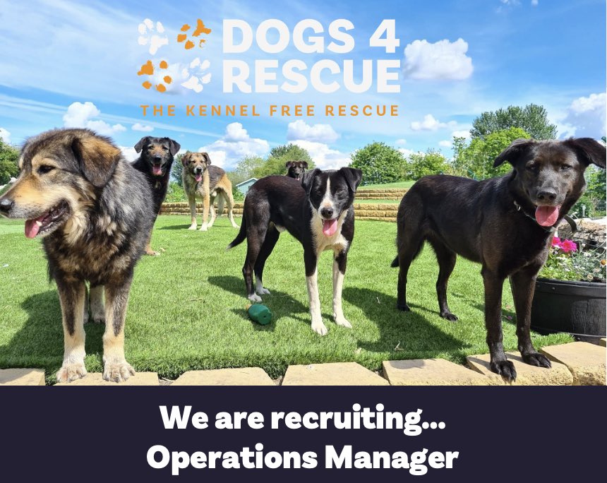 Dogs4Rescue's tweet photo. We are recruiting! Incredible opportunity for someone with a passion to make a difference and team leadership / operations expertise. Paid, full time role. Find out more at:
https://t.co/cVkHq7eVPG https://t.co/vDUIMonHDK