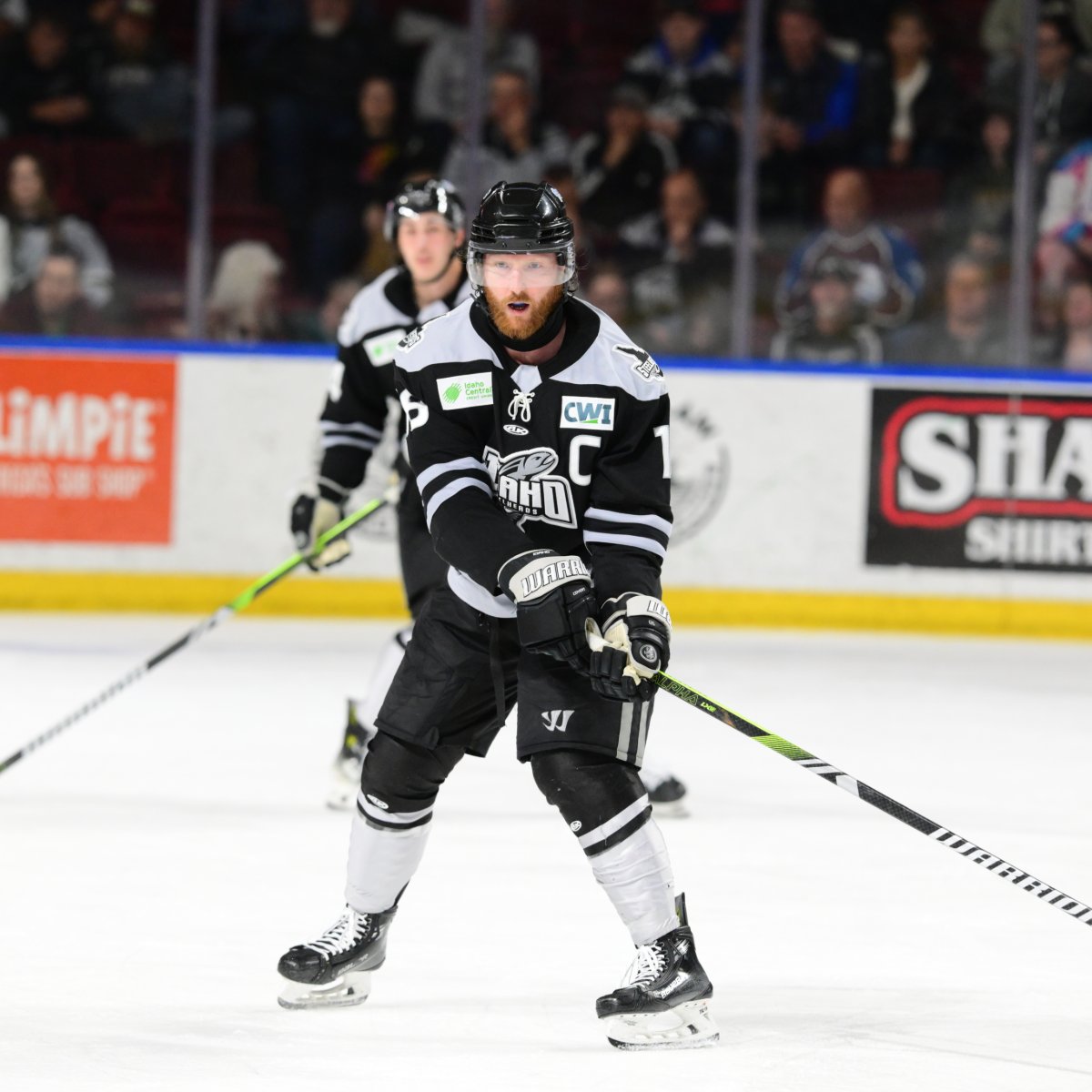 Cap Spotlight: AJ White 🫡🌟
We will miss you 🎣 <a href="/Steelheads/">Idaho Steelheads</a>