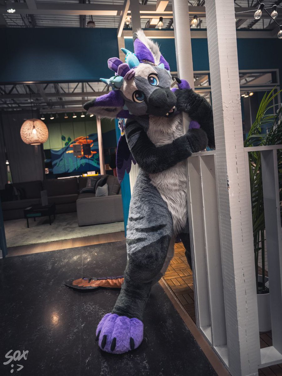 Dust the Dutchie 🔜 🧭 tweet media