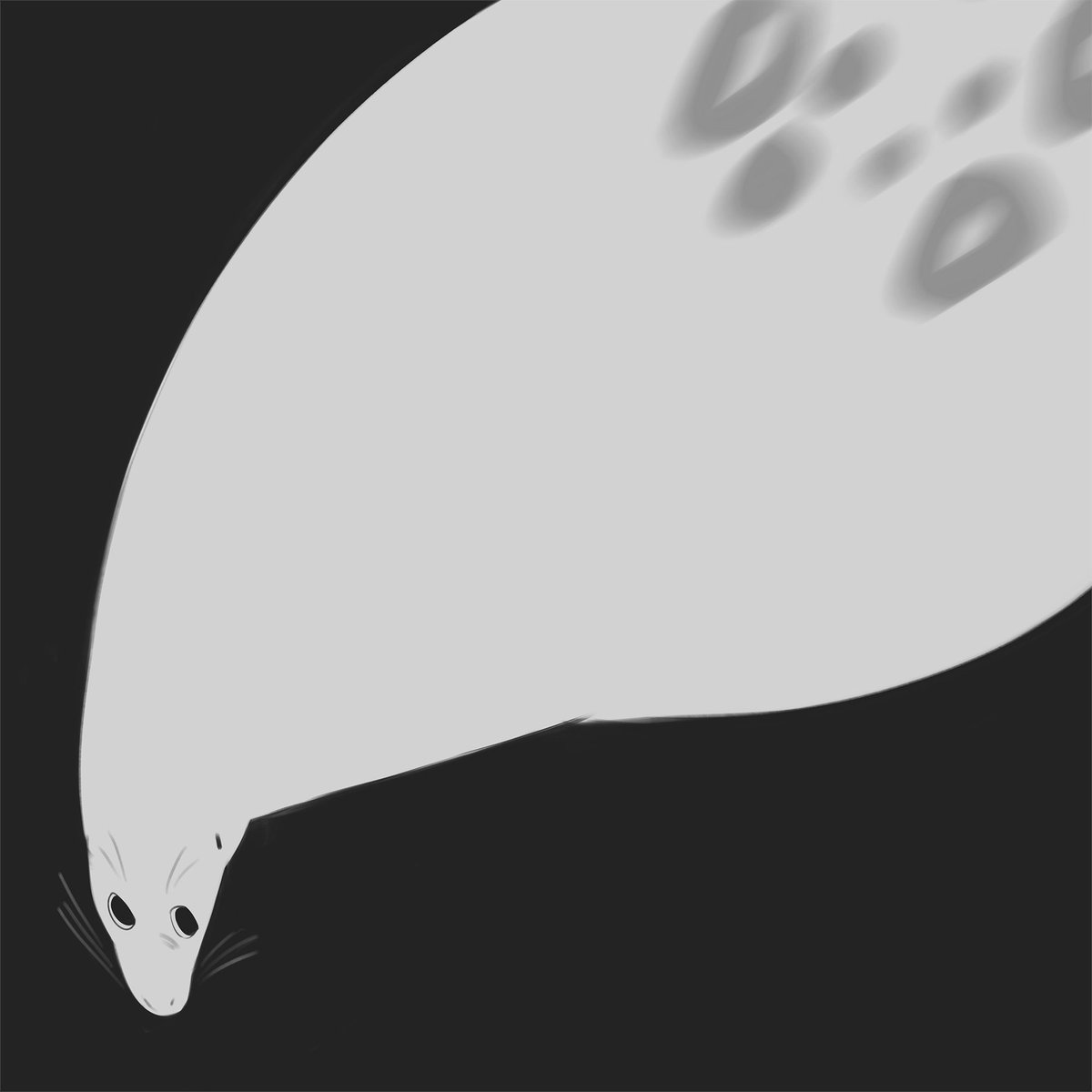 Bri (@bearlyfeline) on Twitter photo 👀 👀