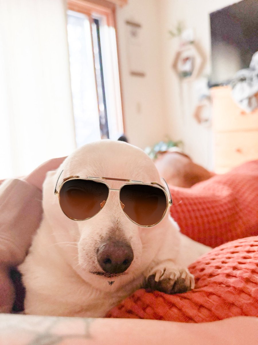 <a href="/ChillboBagginz/">Cheebs</a>