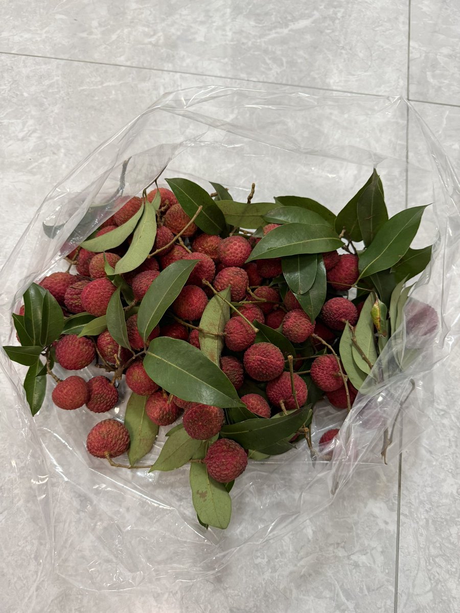 四川盆友给寄的荔枝，这个品种叫冰荔，核小肉厚甜度刚好。我说明年这个时候给我寄宾利就行，这个太多吃不完