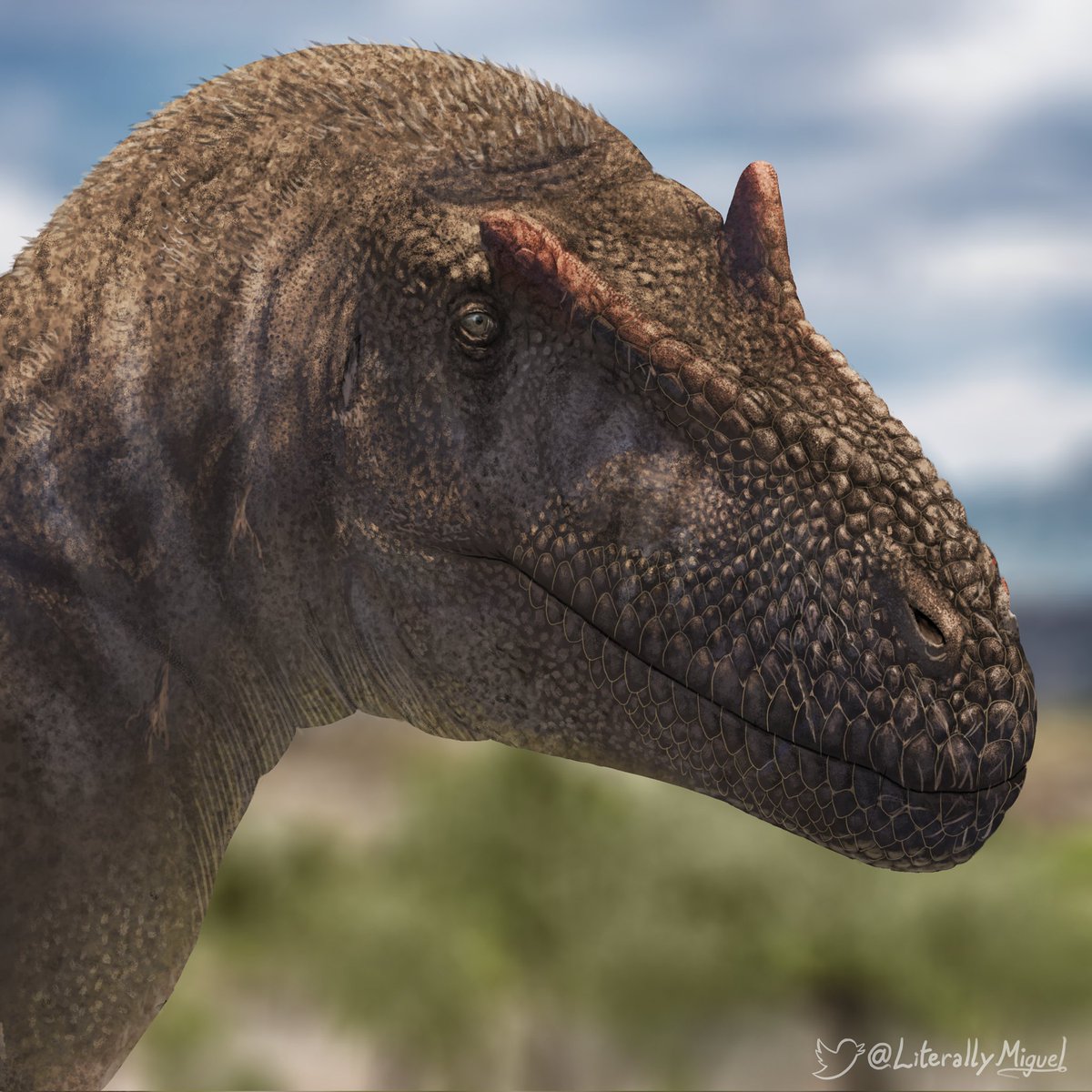 Jimmadseni

(quick comm)