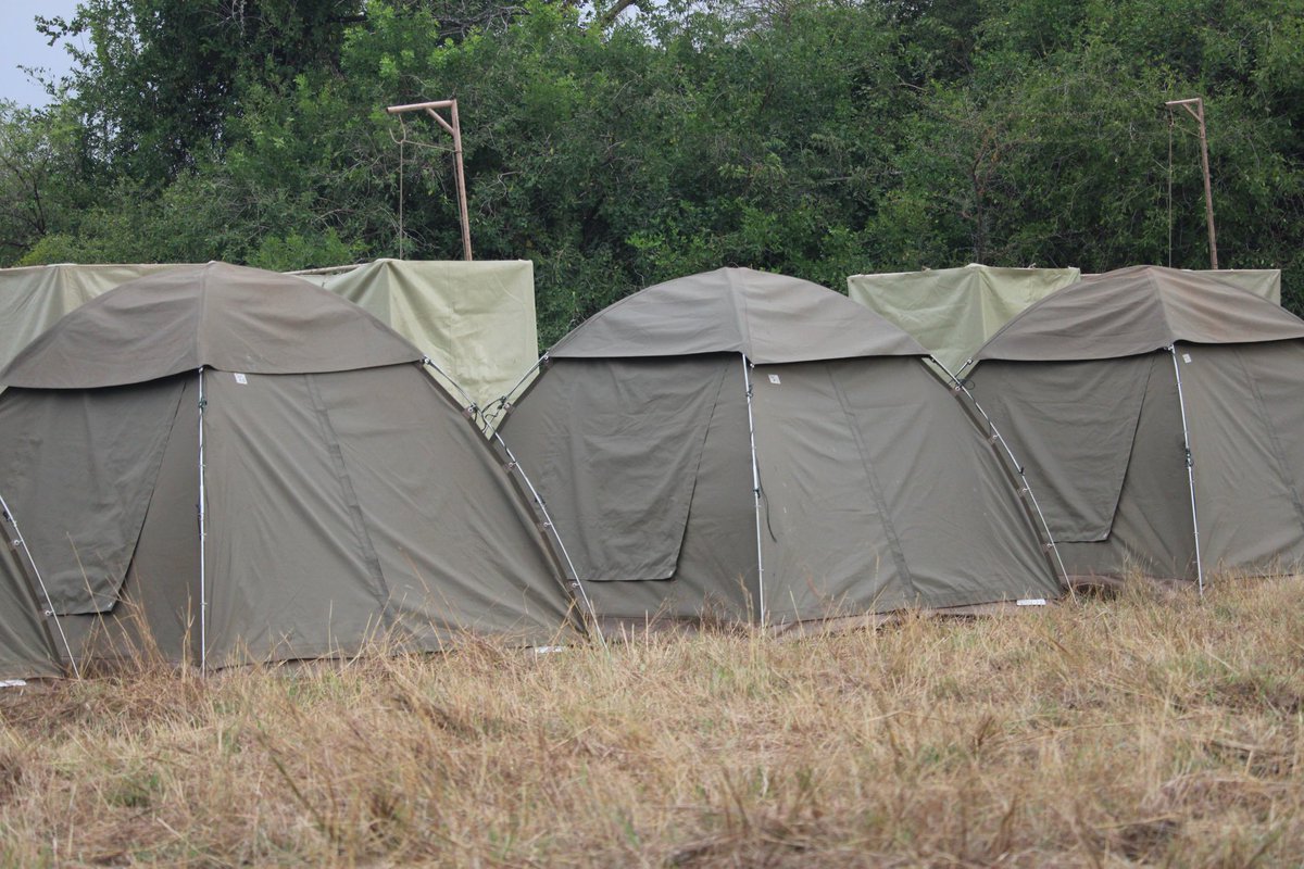 KWSKenya's tweet photo. We are gearing up for the Roan Marathon at Ruma National Park.

This evening, it's all about the culture, the rhythm, and the wild — vibrant dancers, thrilling game drives, and camping under the stars. 
Ready, set... let the adventure begin! 

#TwendeRumaPark #TunzaMaliYako #RunWithTheRoan