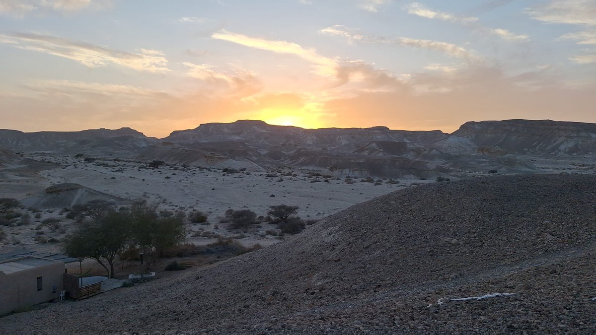 hike
dog
sunset
noice