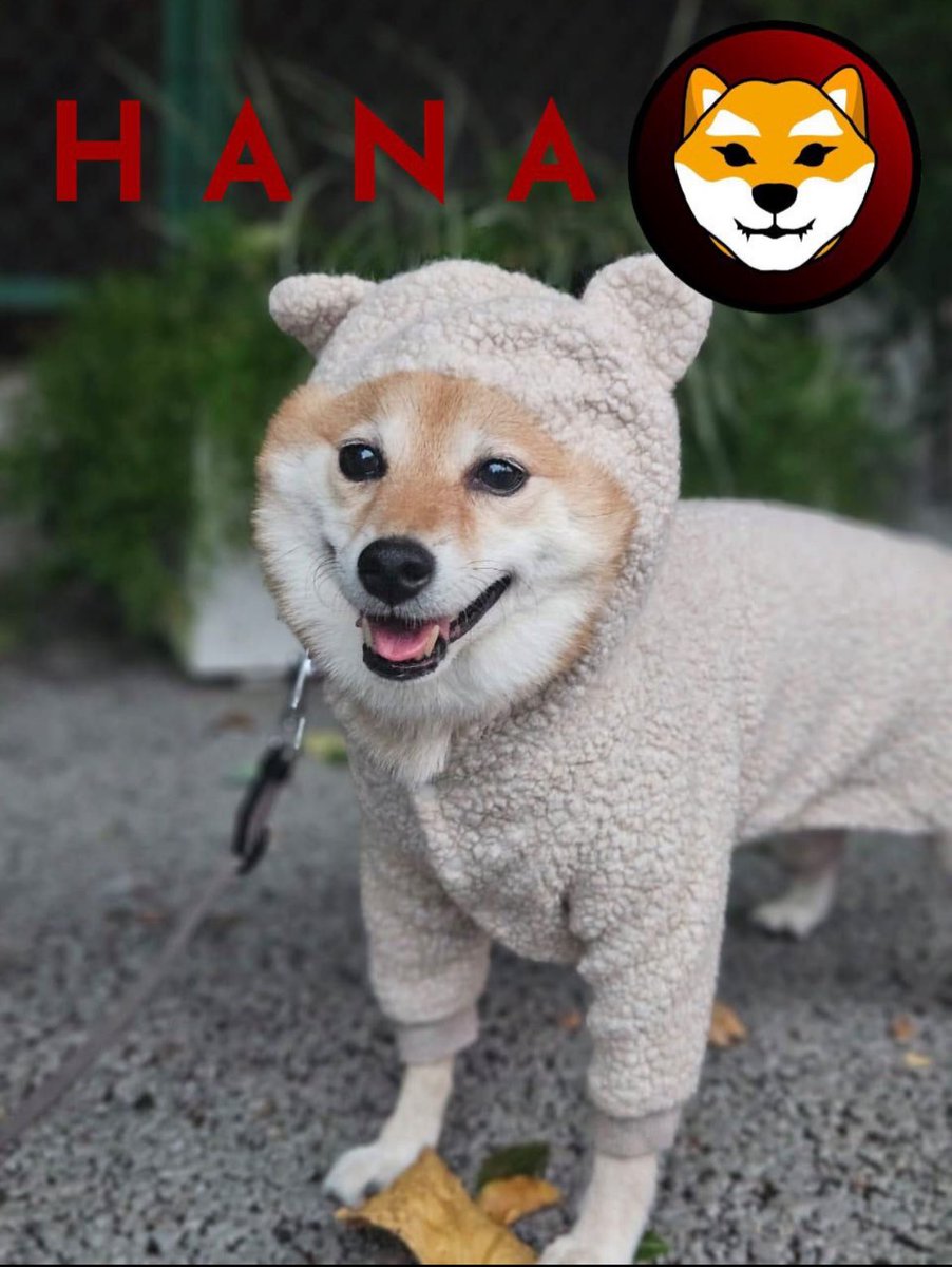 crypt0v0y4g3r's tweet photo. @jrcryptex I do with $HANA 0xE449725c4BFc23a580962d7D49Ff97Ed611fe6E4 https://t.co/VujqBySVe2