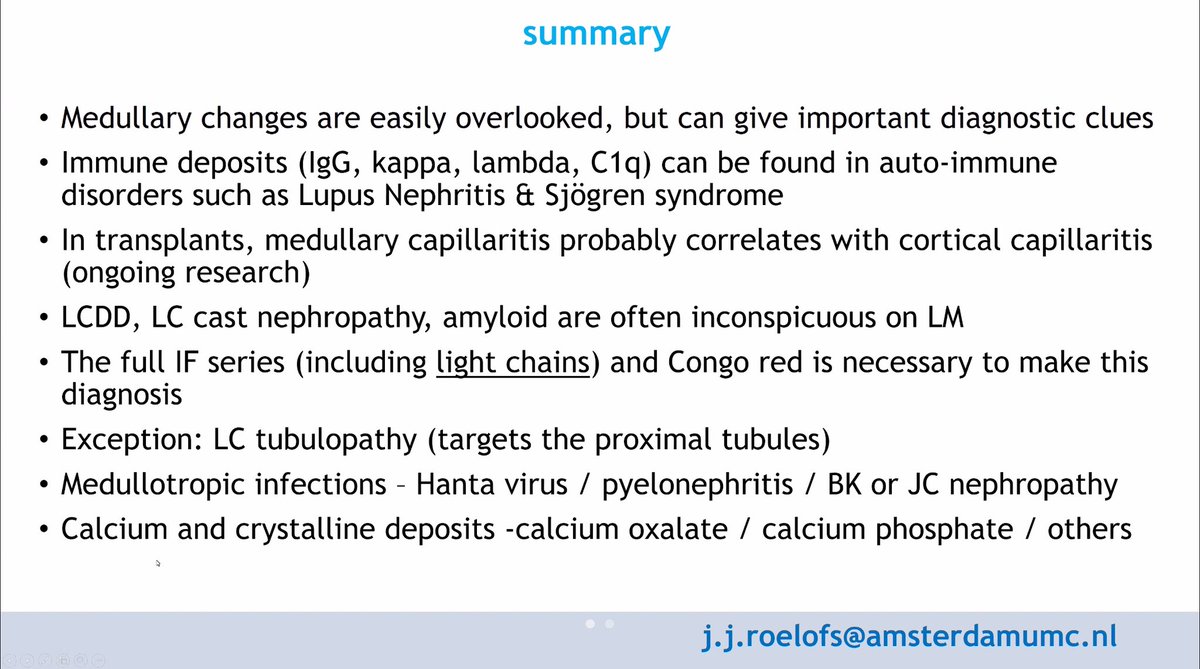 Izabela Zakrocka (@izabelazakrocka) on Twitter photo Why the medulla evaluation in kidney biopsies is so important? Wonderful talk by Professor Joris Roelofs on today’s <a href="/GlomCon/">GlomCon</a> seminar ✨ <a href="/Renalpathsoc/">Renal Pathology Society</a> <a href="/kidneypathology/">Carmen Avila</a> Why the medulla evaluation in kidney biopsies is so important? Wonderful talk by Professor Joris Roelofs on today’s <a href="/GlomCon/">GlomCon</a> seminar ✨ <a href="/Renalpathsoc/">Renal Pathology Society</a> <a href="/kidneypathology/">Carmen Avila</a>