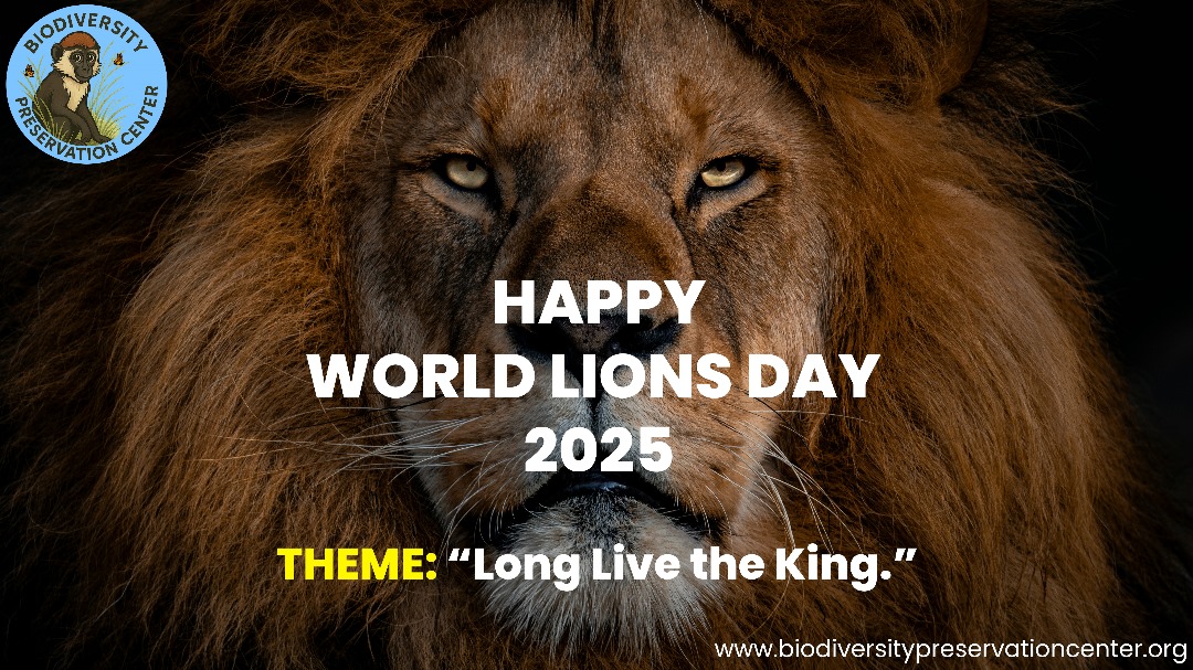 Biodiversity Preservation Center Uyo tweet media