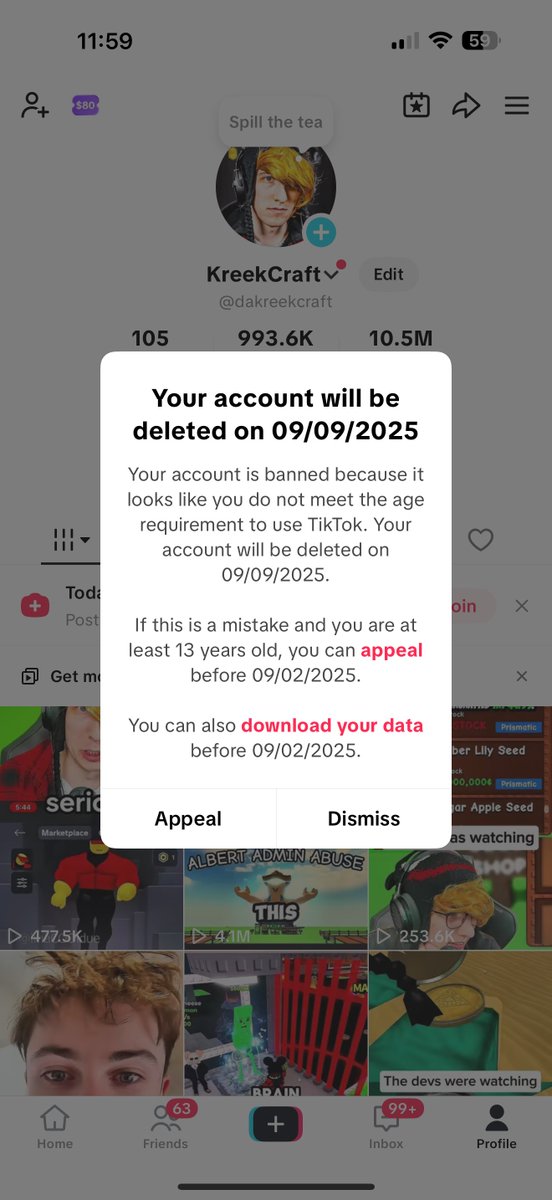 KreekCraft's tweet image. My TikTok account almost got deleted because their AI thought I was under 13 years old.

I had to verify with an ID + Selfie to save my account.

This is the problem with AI age verification.

I&apos;m 28 years old btw.