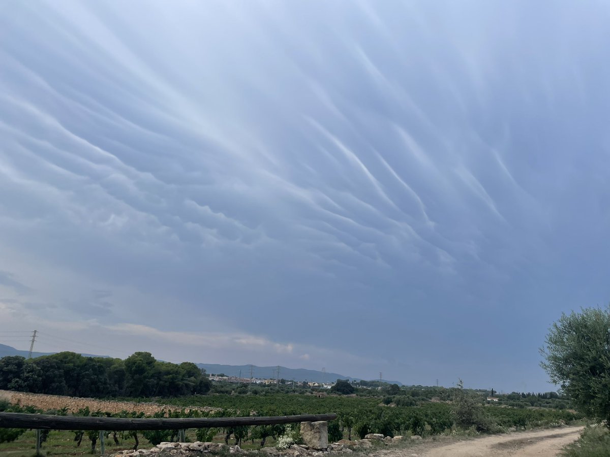 El cel desde Santa Oliva #nuvols #sky #cel #santaoliva #baixpenedes #agost #preverema #fincamasperdut #ElTemps3Cat #eltiempo #meteocat <a href="/meteocat/">Meteocat</a> <a href="/eltempsTV3/">El temps</a>