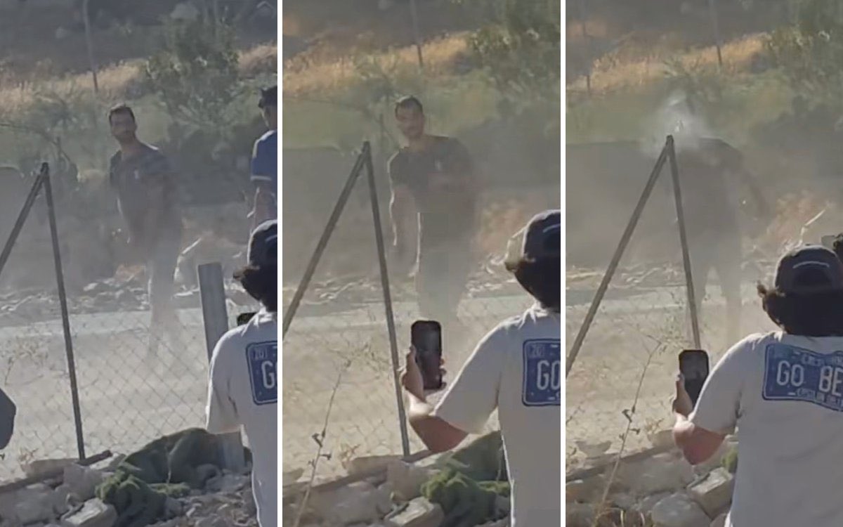 ״העדר קשר סיבתי בין הירי שביצע [ינון לוי] לבין מות המנוח מקבל חיזוק מראיות״, השופטת חוי טוקר