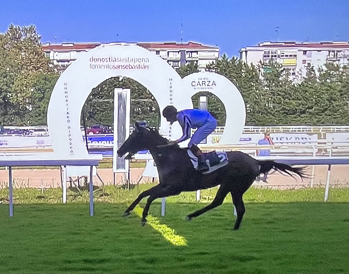 Yeg. 7Iglesias/Noozhoh Canarias (@alliron_2023) on Twitter photo Fácil 5ª victoria de Empel #NoozhohCanarias que alcanza casi los 60.000€ en premios dando la nº 83 a su padre en <a href="/HipodromoSnSn/">Hipódromo de San Sebastián - Donostiako Hipodromoa</a> Fácil 5ª victoria de Empel #NoozhohCanarias que alcanza casi los 60.000€ en premios dando la nº 83 a su padre en <a href="/HipodromoSnSn/">Hipódromo de San Sebastián - Donostiako Hipodromoa</a>