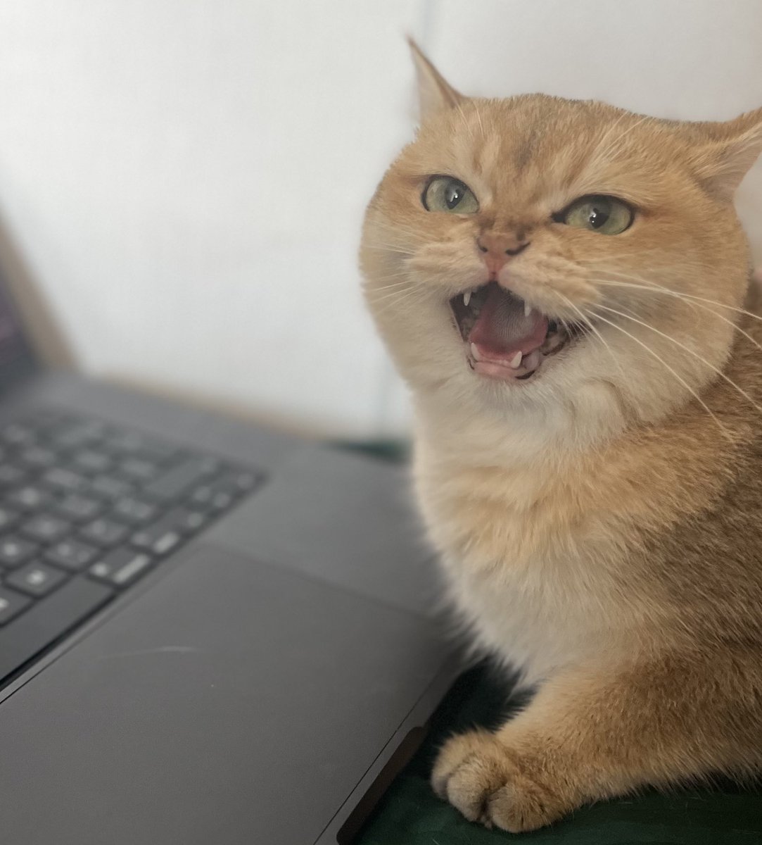 Канєшно рандомний твіт в неділю ввечері
Але
Є в когось знайомі в охматдиті в неонатальному відділенні? Чули багато поганого і стрьомно :(