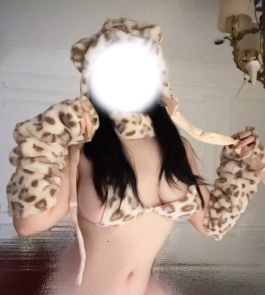 粘土刺猬 tweet media