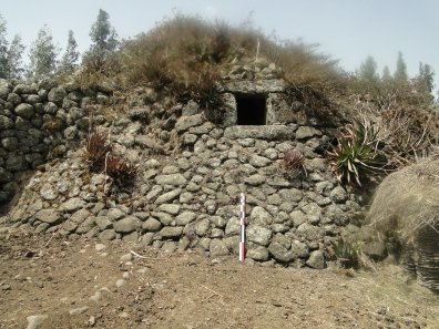 abesinoi tweet media