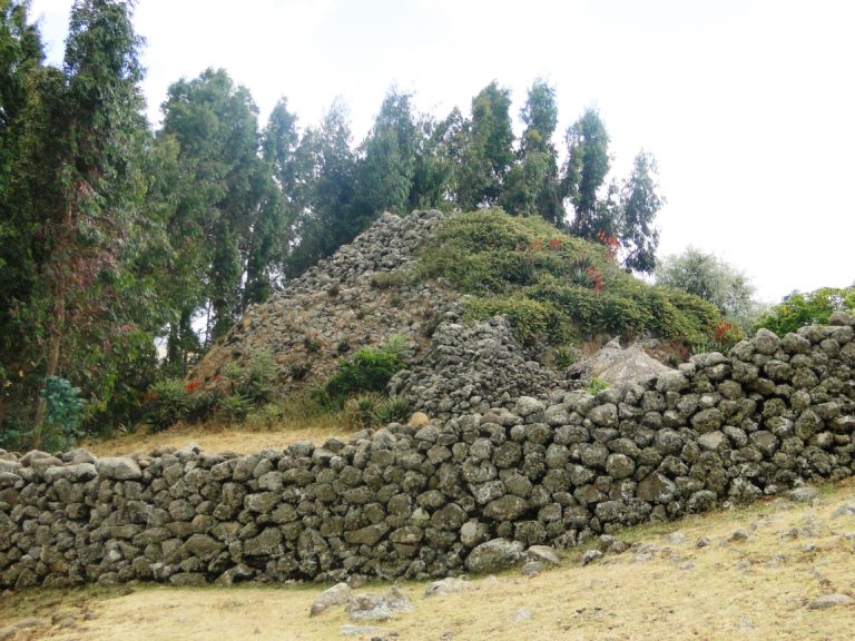 abesinoi tweet media