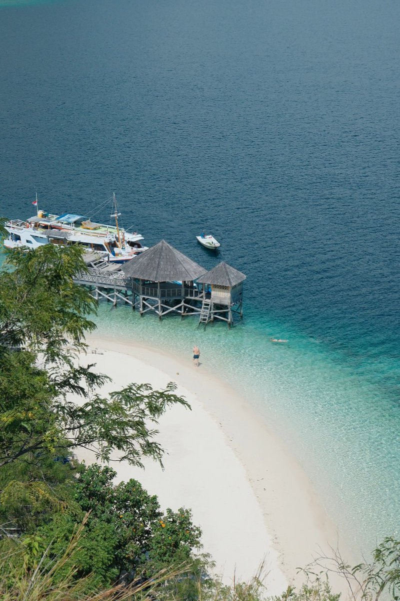 lalithefucker's tweet image. 