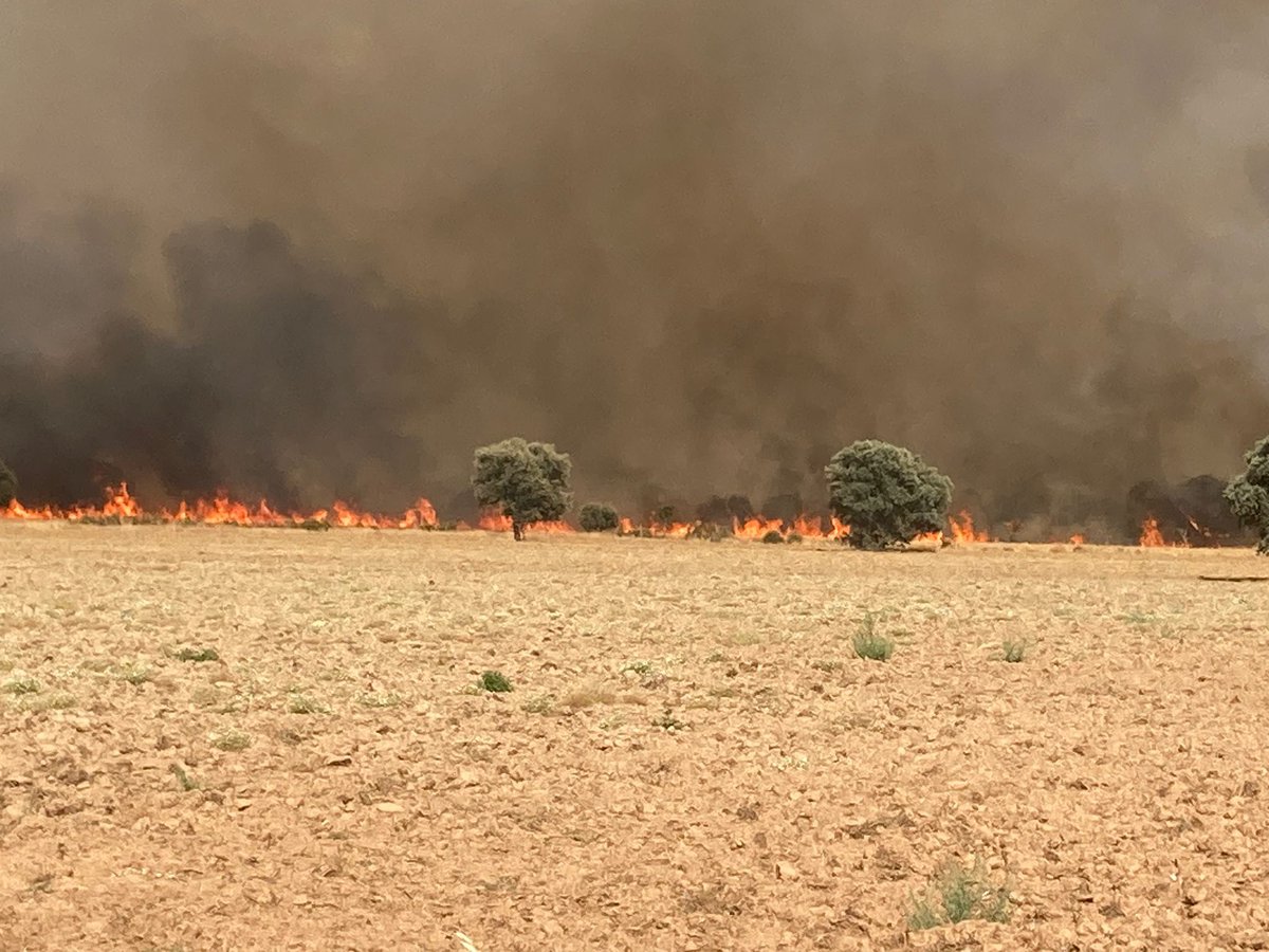 Se observan saltos de carretera por pavesas con una progresión muy rápida en #IFMolezuelasdelaCarballeda #Zamora