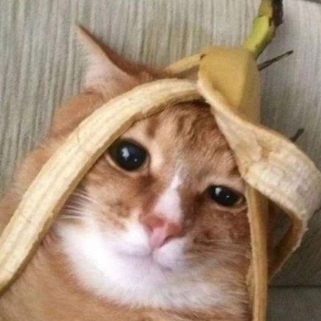 Writing ReadMe files is insanely hard and requires a very high IQ

I may never figure with stuff out
