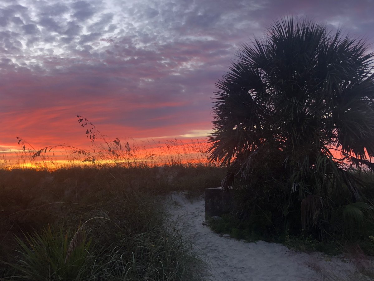 R2DPodcast's tweet image. Sunrise Sunday…

Hilton Head beach at dawn…..
