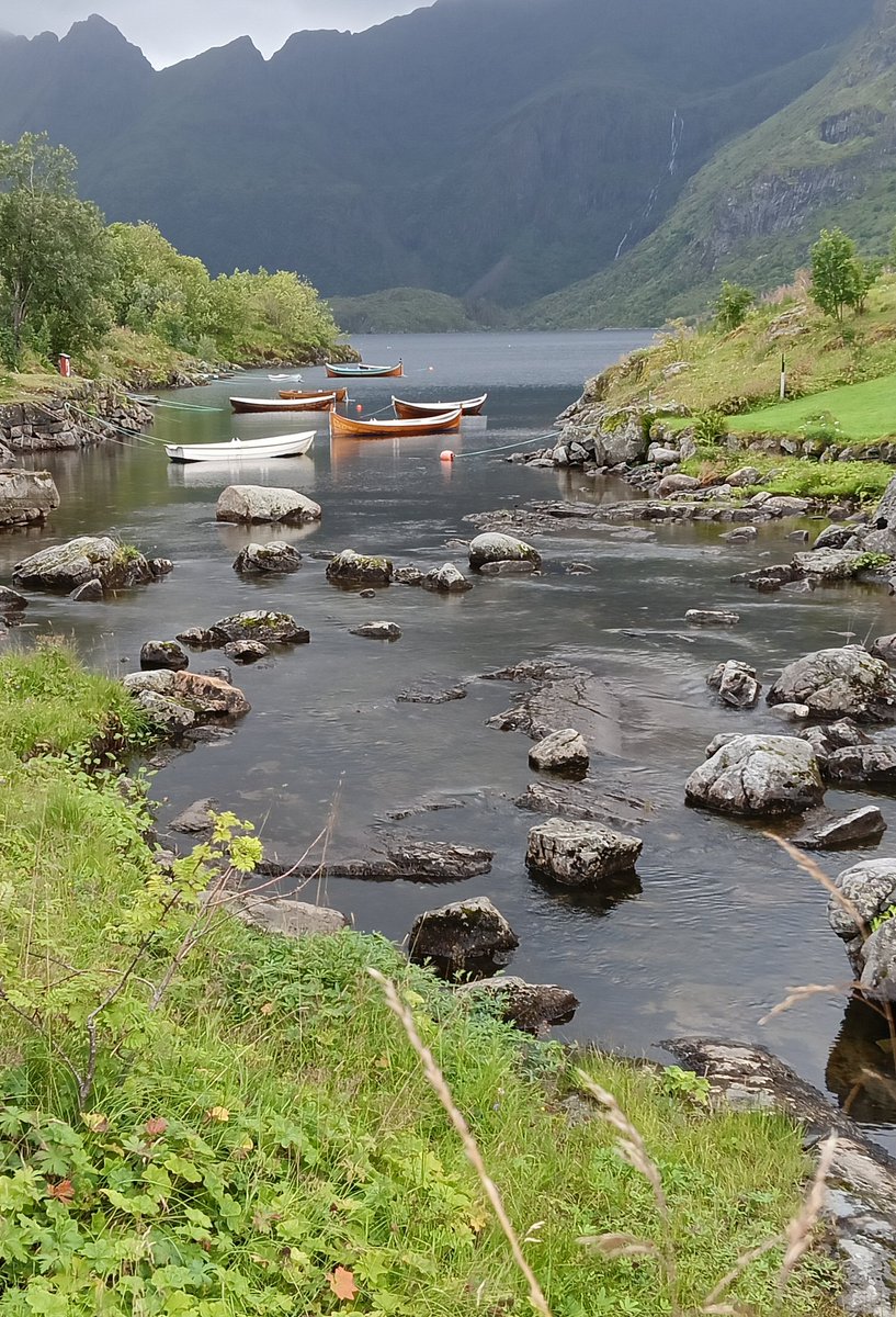 ⚡Mlle 40kVolts⚡ tweet media