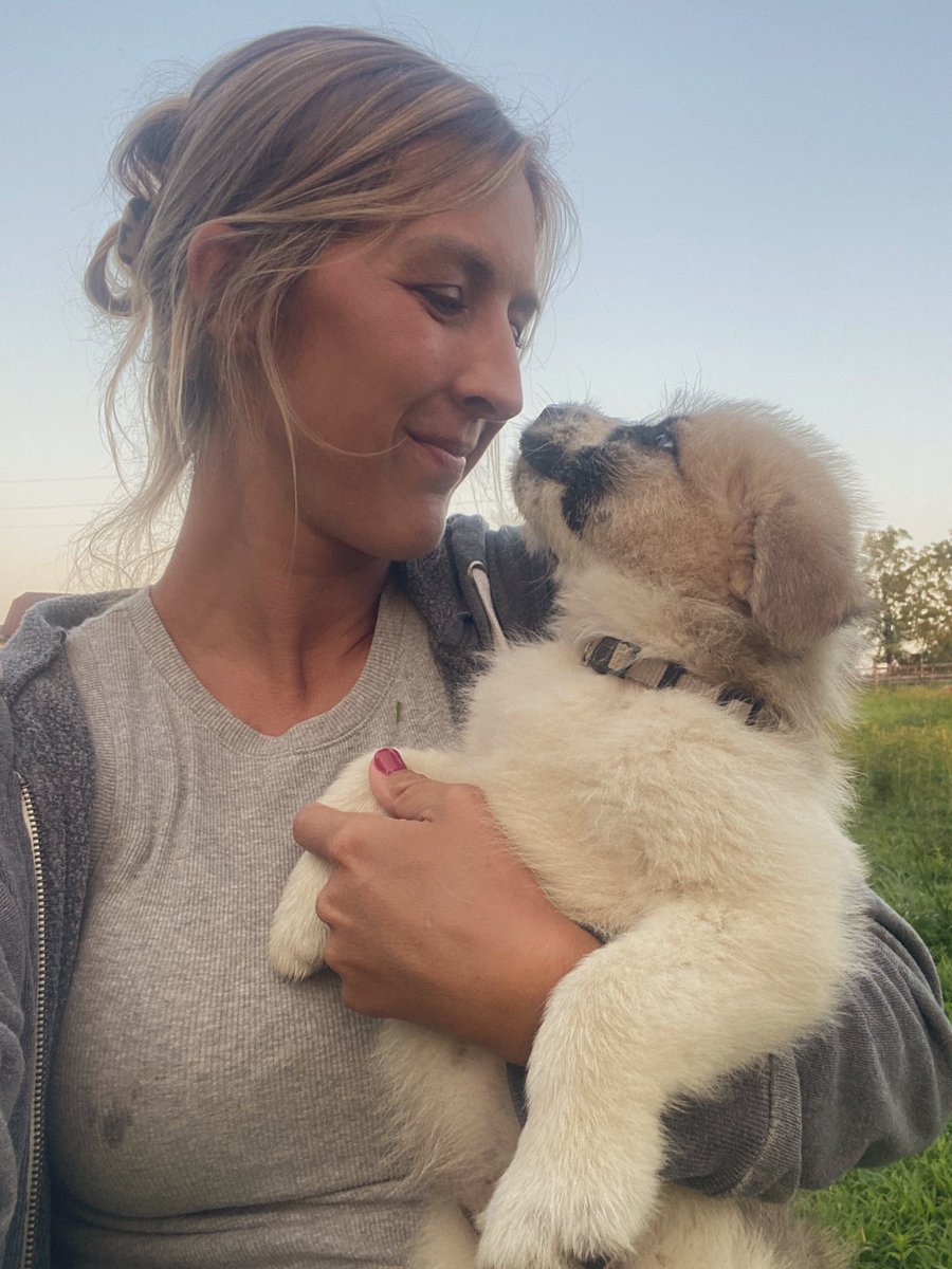 We picked out a GLD pup last week and I got to see him again yesterday. I like to think he picked us bc when I walked into the field he came up to me smiling and so happy. He’s a chunk of a fluff ball. He comes home to us next weekend 🥰
