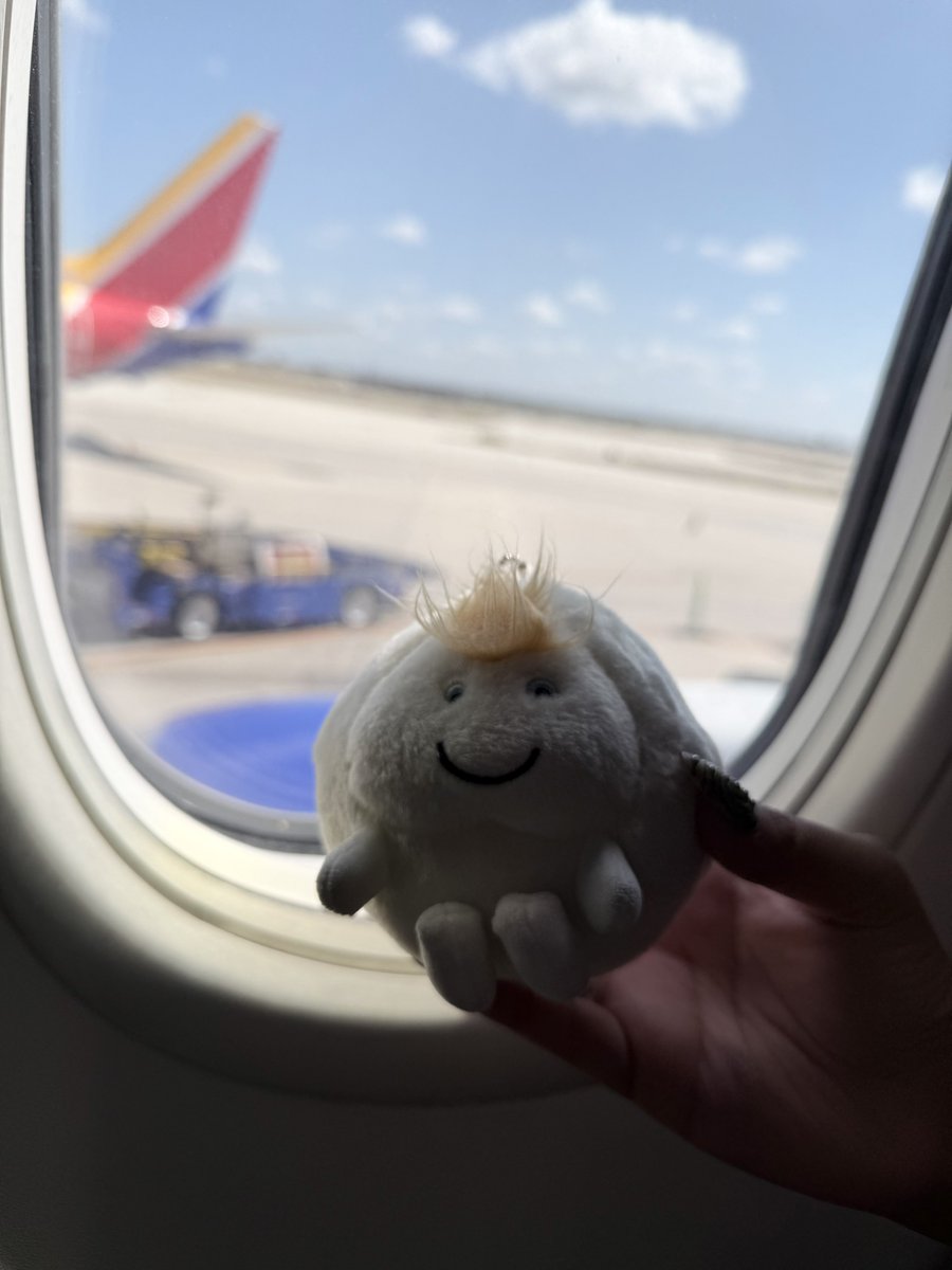 AMY♡さま確認ページ♡ amy⋆˚࿔ on X: 