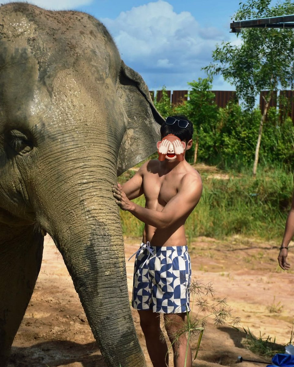 Gajah aja dimandiin. Aku kapan ya ada yg mandiin ?!?