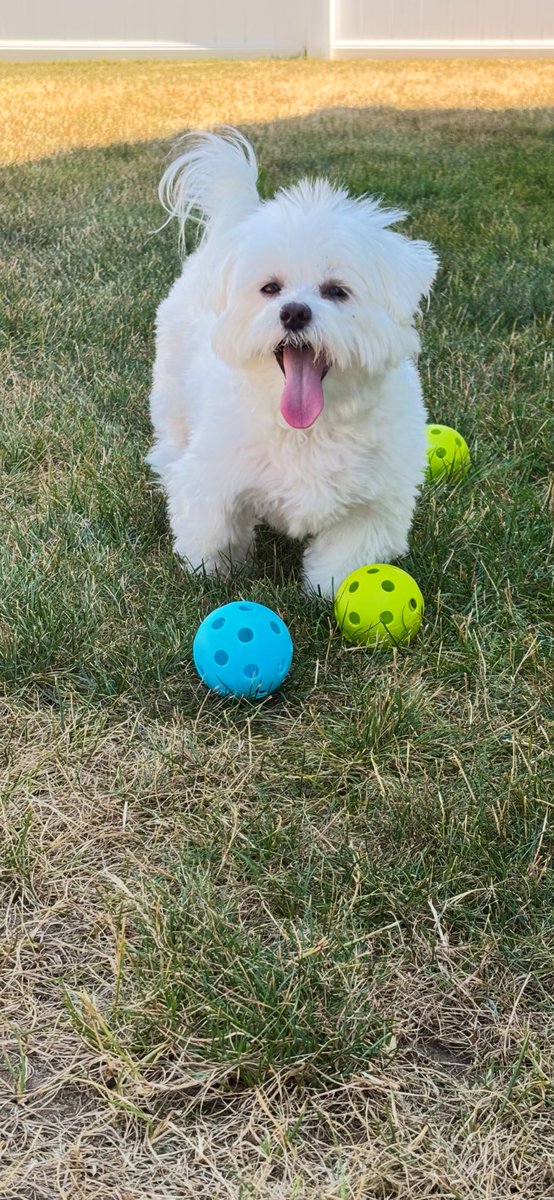 Hi 👋 it’s me Hayden! Good morning ☀️ and Happy Sunday!❤️ I’m home with the family after a long vacation… I’m so happy to be back home💚🩷💜 Wishing everyone a beautiful day!🥰🌻🌸💕🤗 #Hayden🤍 #MyBug🥰🌻💚