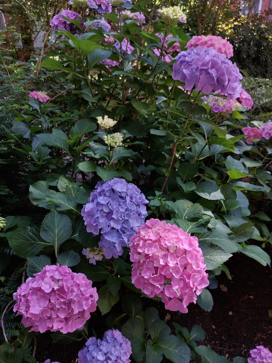 Auch ein Wohlfühlen in kurzer Zeit mit jemandem bleibt in Kopf und Herz