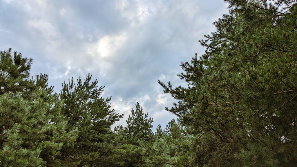 Обожнюю оцей штиль після вітряної грози чи зливи, – природа наче завмерла і переосмислює вдіяне.
