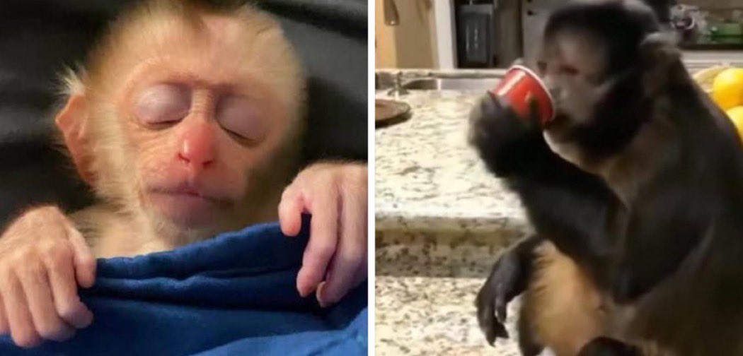 Yo ahorita              //  Ah pero anoche