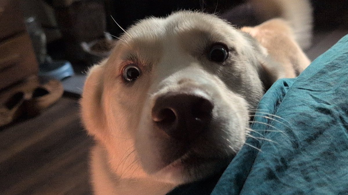 Have you spent time in the sun this week?