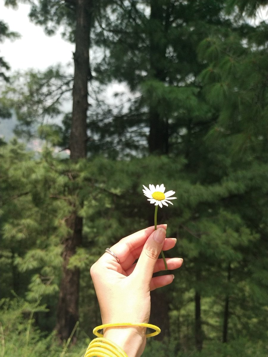 Memo_s_hustle's tweet image. I ?
I walk alone
~ Sylvia Plath
#UnFiltered