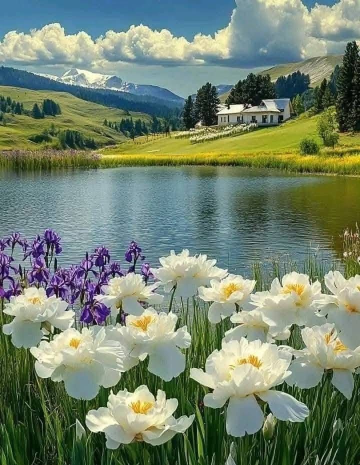 Maithili_50's tweet photo. तेरी बातें जैसे जहरीला खंजर
अपना मिलना अब आंखों का मंजर
अब अपने दिन और रात नहीं 
क्यों तुमको हमसे प्यार नहीं 

क्यों चलते चलते तुमने राह छोड़ी
हम दोनों के मिलने की दूरी थी बस थोड़ी
यादों का भी अब काम नहीं
क्यों तुमको हमसे प्यार नहीं https://t.co/DU3eQlMLNe
