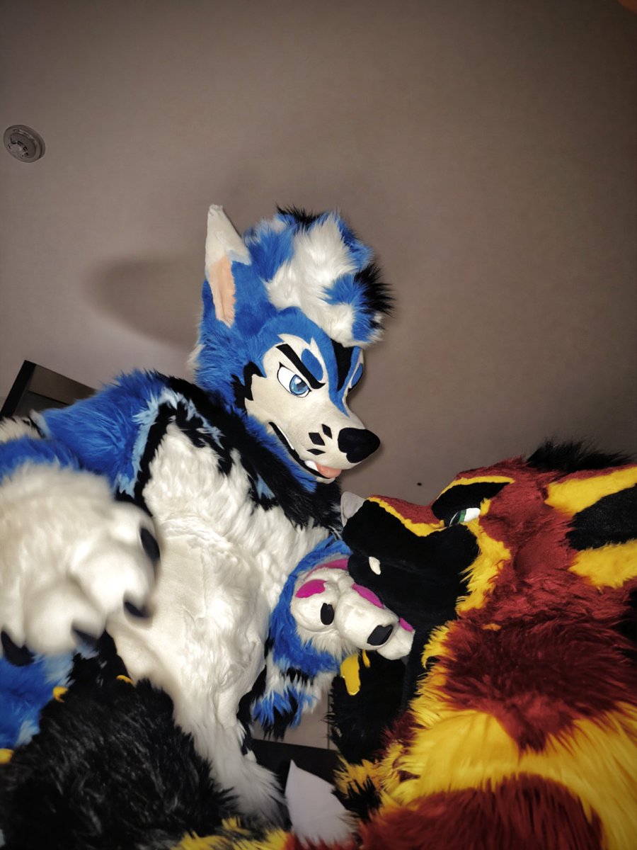 虎莱恩 (@laientiger) on Twitter photo Tired? Let's rest.
🐺:<a href="/Blusicurl/">Bluee 🦋 social 🔜 FurGiv</a> <a href="/Sharky_viki/">Sharky_Viki</a> 
🪡:<a href="/kigurumikagetsu/">きぐるみ花月/Kigurumi Kagetsu</a> Tired? Let's rest.
🐺:<a href="/Blusicurl/">Bluee 🦋 social 🔜 FurGiv</a> <a href="/Sharky_viki/">Sharky_Viki</a> 
🪡:<a href="/kigurumikagetsu/">きぐるみ花月/Kigurumi Kagetsu</a>