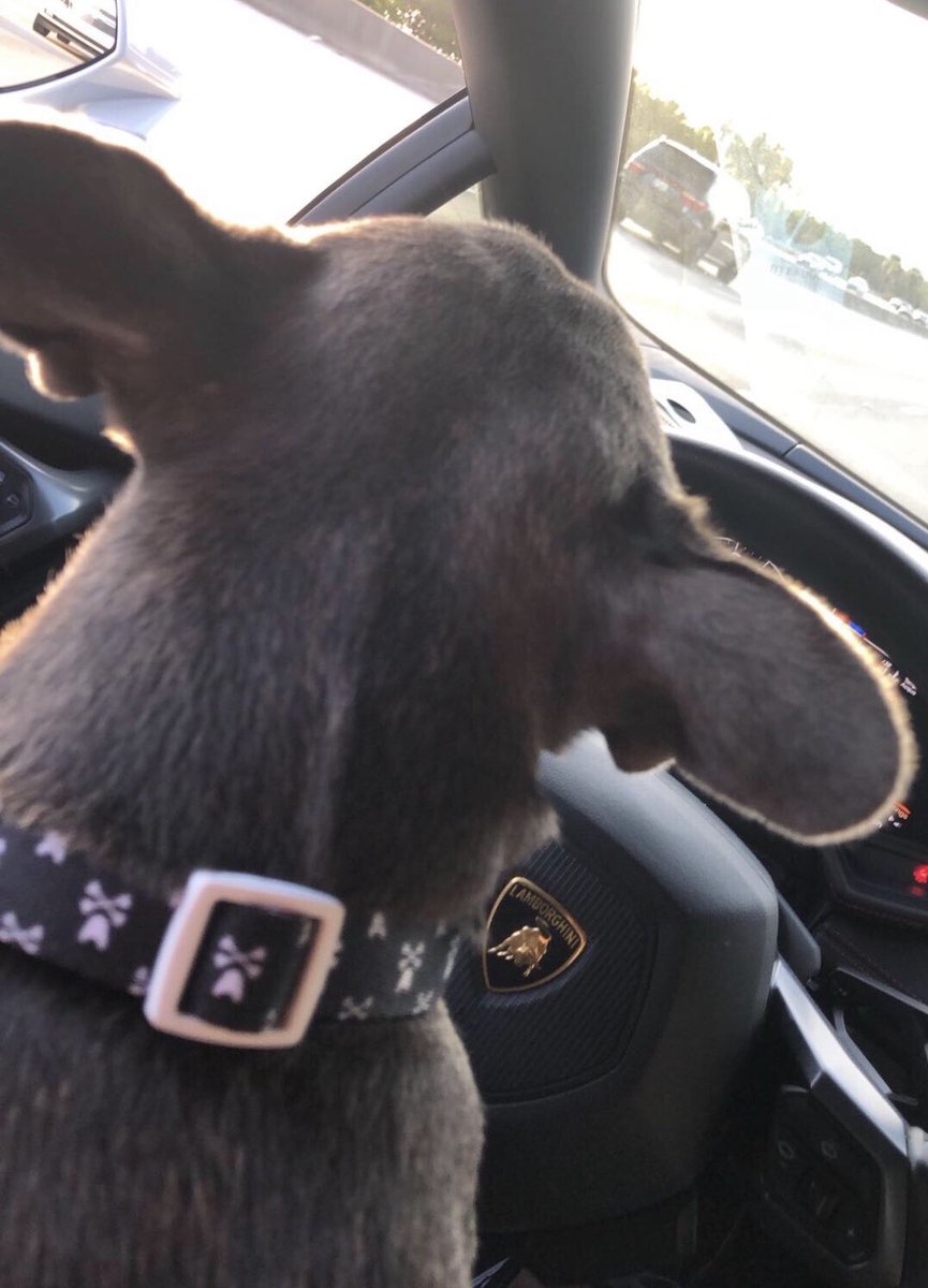 scripturecowboy's tweet image. God is Good. 

Don’t let trading break you.
It’s your key to freedom.

The life you know you deserve. 

You’re almost there.

Trust the process. 

Christ is king. All glory to the most high 🙏🏻