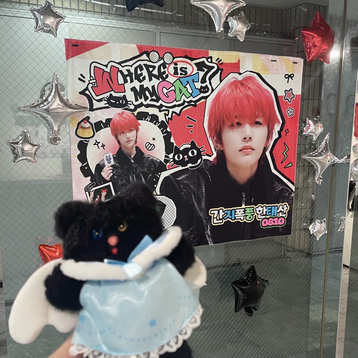 黒猫.. tweet media