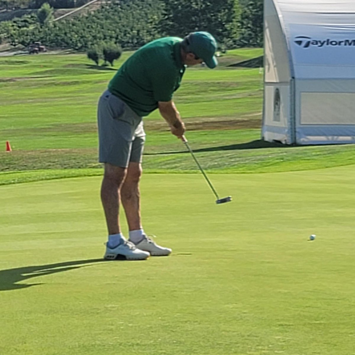 GreenTourGolf tweet media