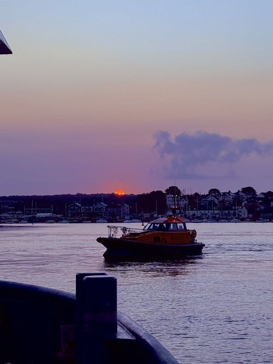 Sean Marshall tweet media