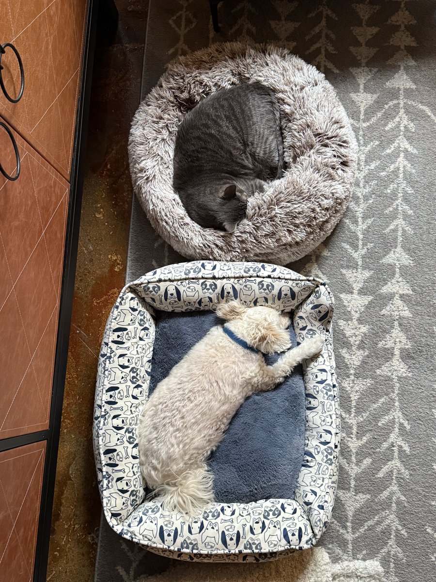 Your Sunday morning moment of Zen. Getting along fine. Or maybe #GoodFencesMakeGoodNeighbors Whatever it is, if they can do it, so can we. #ComeTogether