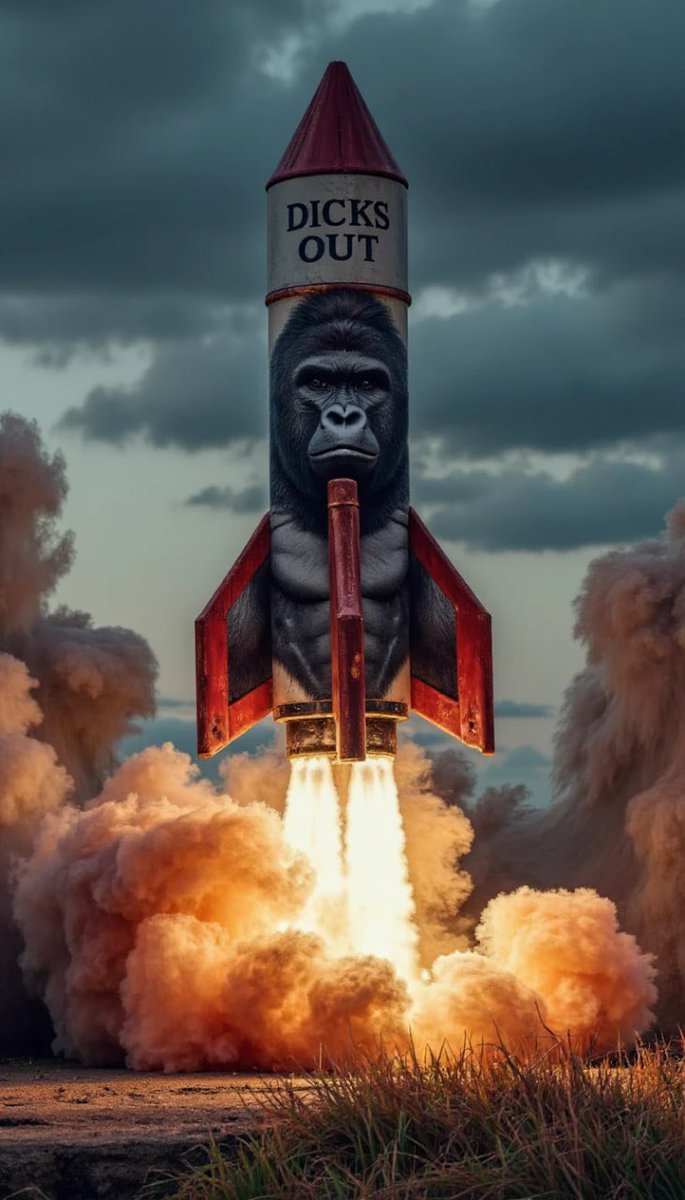 Once the god candle happens #HARAMBE will sell itself

It's one of the few coins that makes sense to retail

You're seeing it happen with $TROLL right now

Retail doesn't care about market cap

They'll just see the most famous gorilla under $1 after "already pumping" and ape in