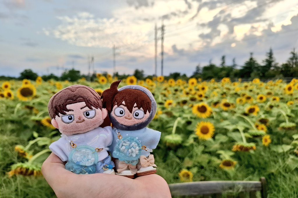 これはいっぱい蚊に刺されながら撮った向日葵🌻 ぬいスタンド忘れて手のひらなのはご愛嬌🫰🫰