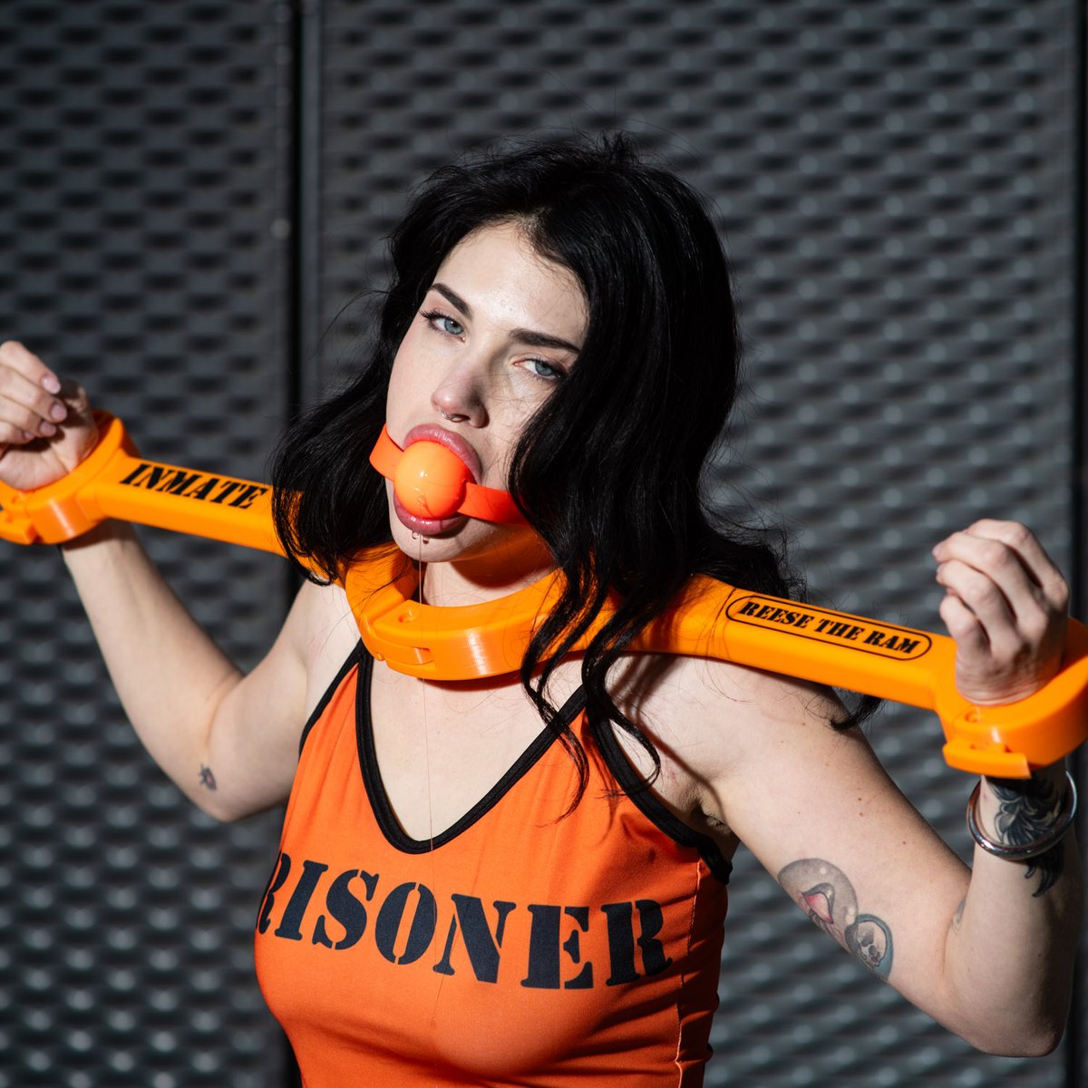 PHoToToM-EU tweet media