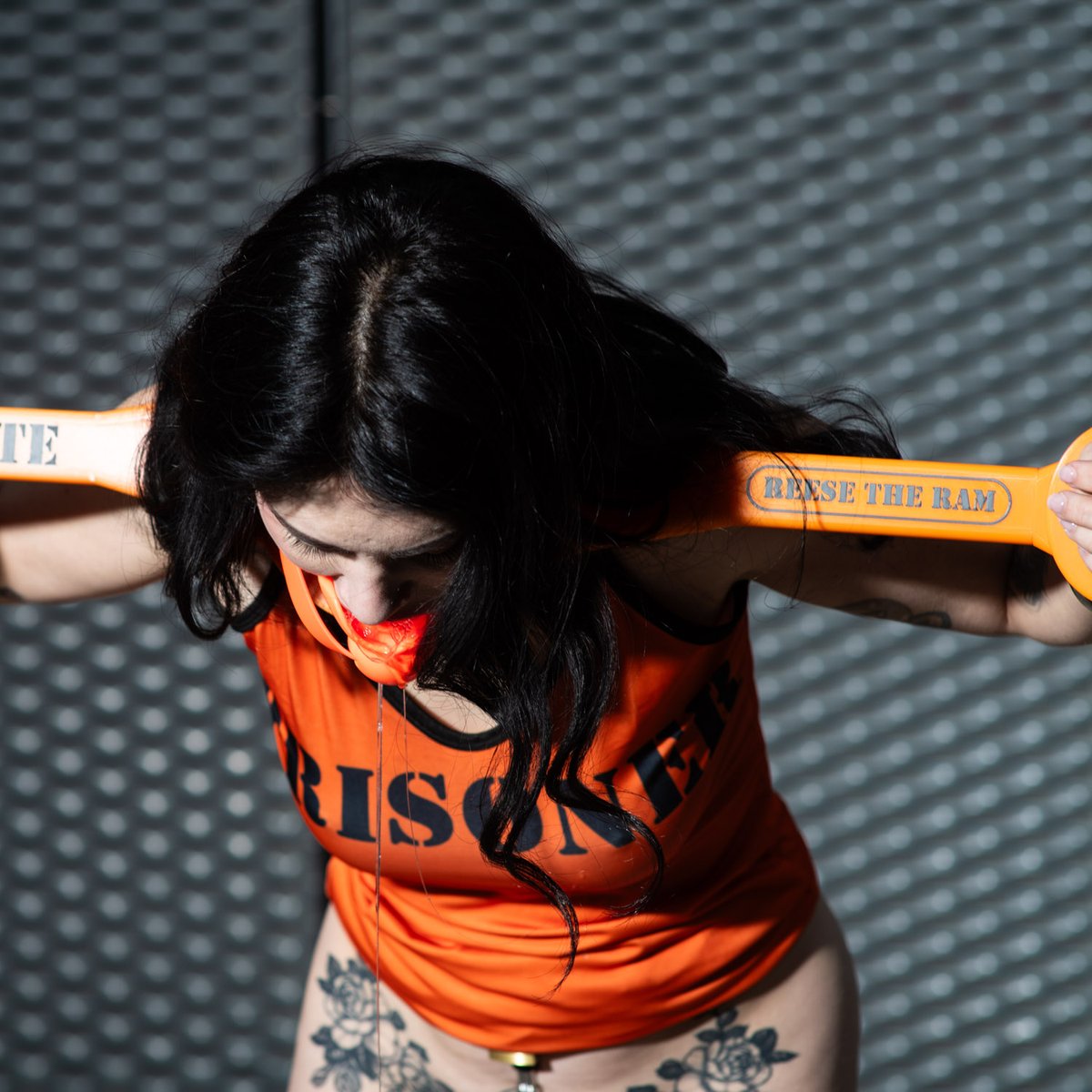 PHoToToM-EU tweet media