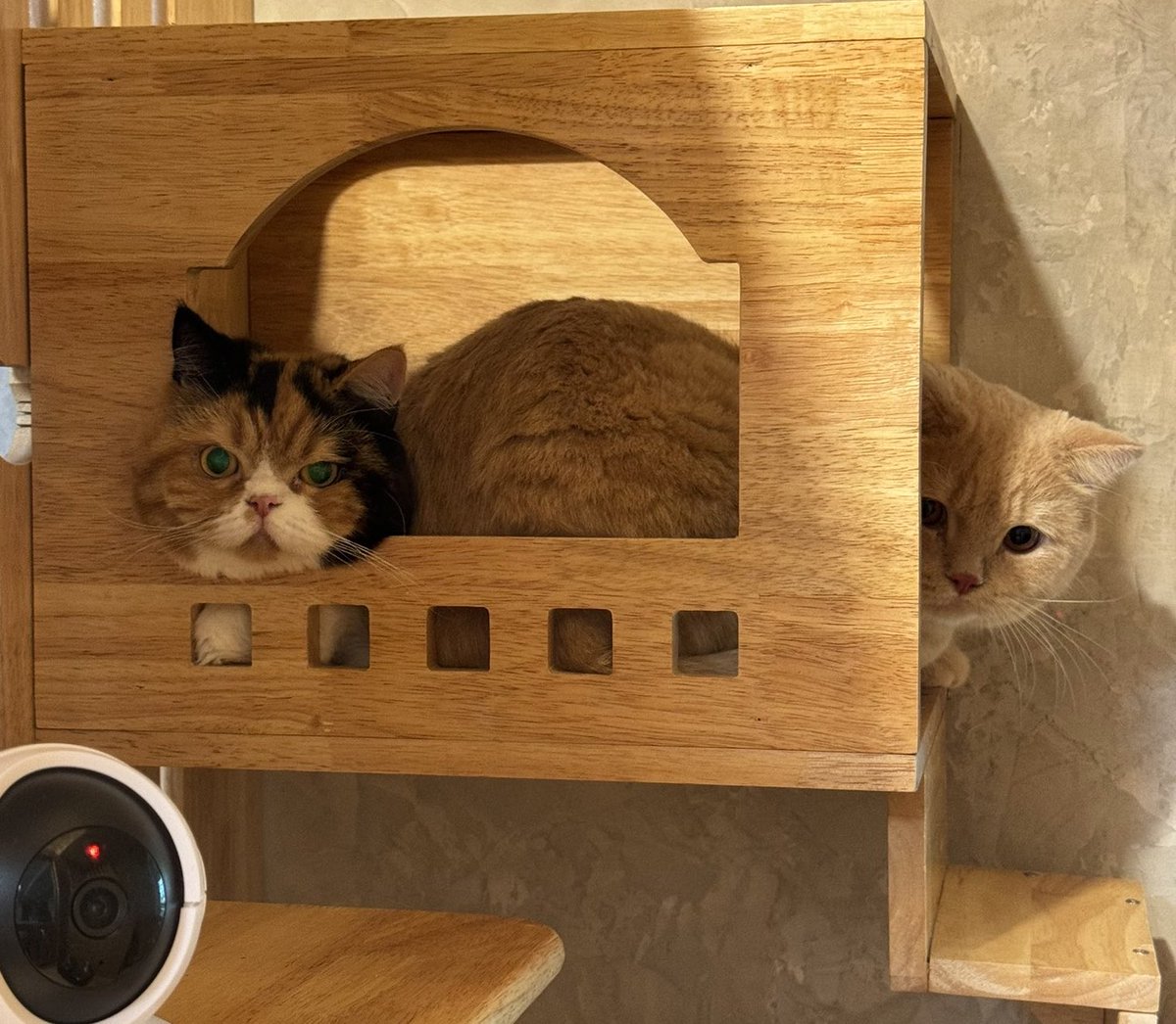 ชั้นก็อาบน้ำเหมือนกันนะยาย!